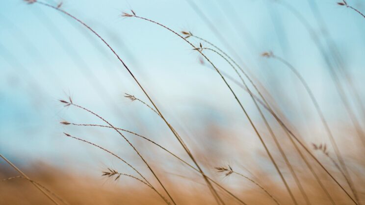 aaron burden tqf8fcnynrk unsplash