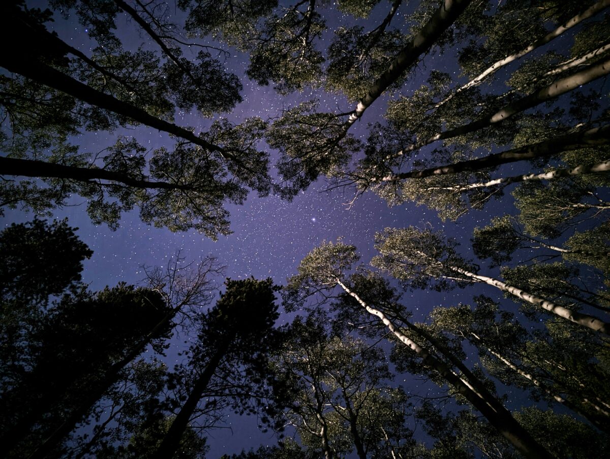 andrew xlgeqckwkws unsplash