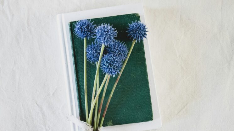 debby hudson rkmw1gio9de unsplash