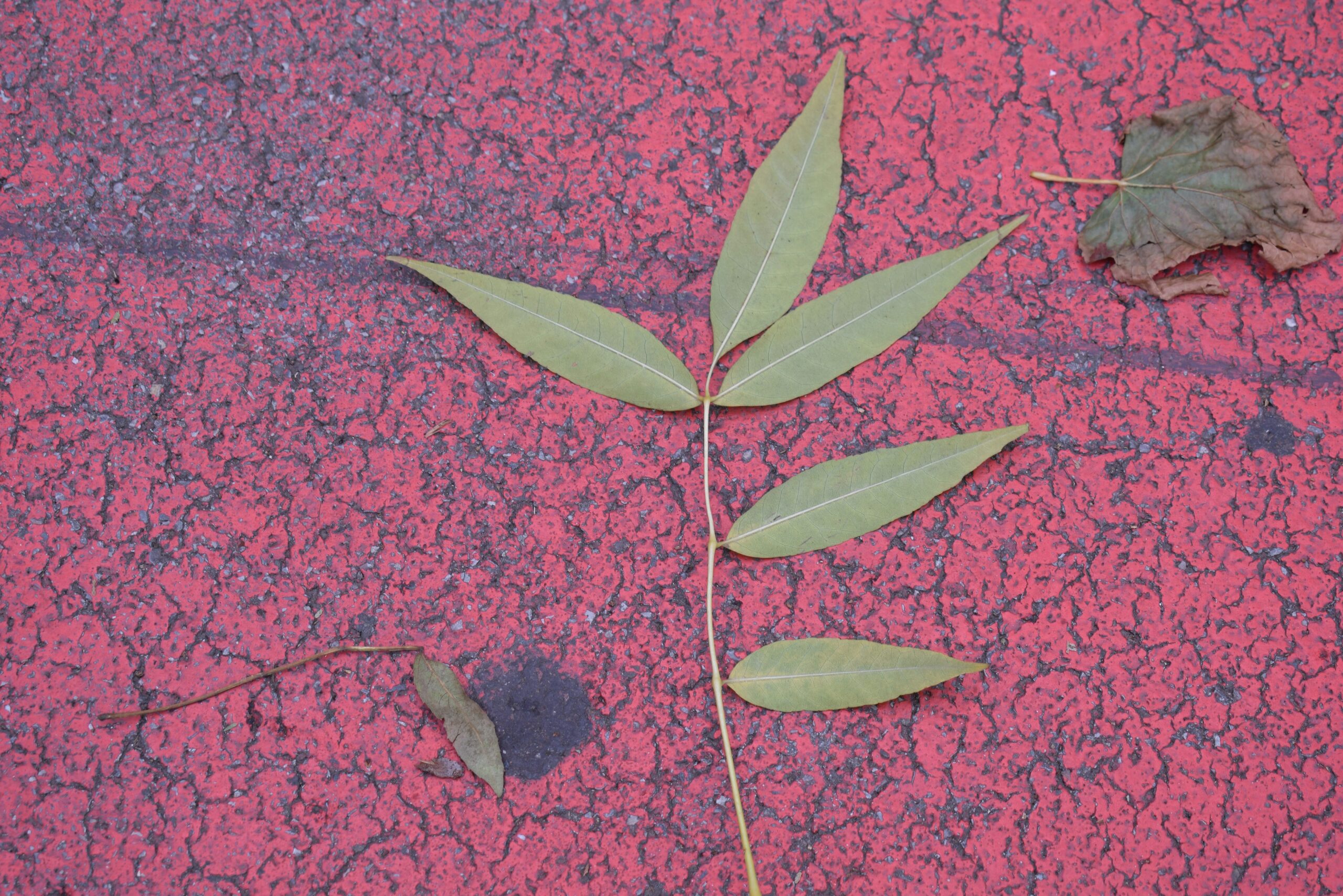 marija zaric djmpbbyyeyc unsplash