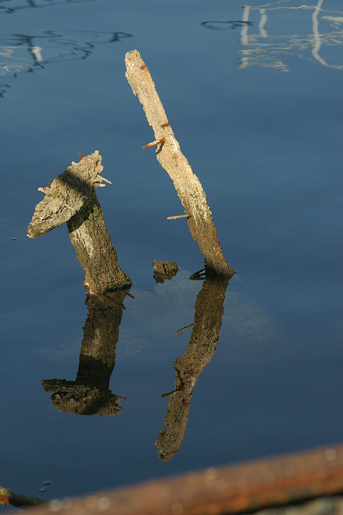 vasilis caravitis yvhbormcsky unsplash